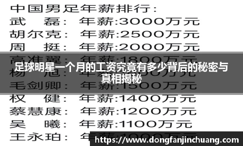 足球明星一个月的工资究竟有多少背后的秘密与真相揭秘